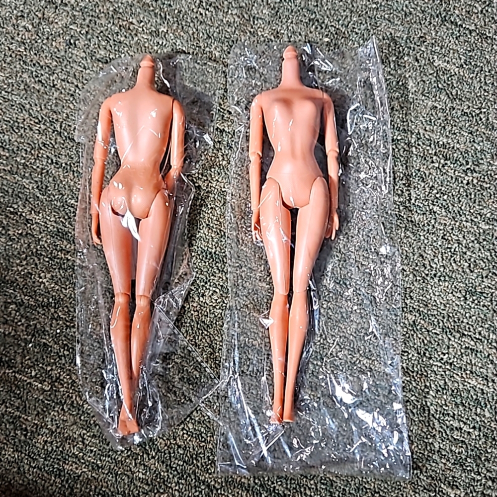 2 mostly articulated fashion Doll 11.5 " bodies (no heads) new in package